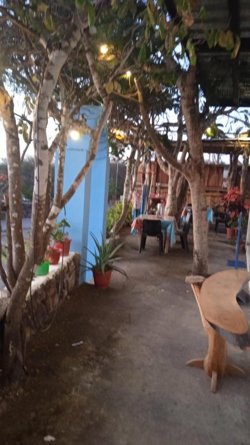 Hostal Cabanas Don Jorge Пуерто Бакерисо Морено Екстериор снимка